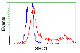 m00796 2 anti shc shc1 mouse monoclonal antibody clone id oti1d3 flow cytometry testing 2