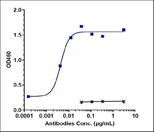 Immobilized human IL4RA His at 2 &mug/mL can bind Anti-IL-4Ra/CD124 Reference Antibody (dupilumab)