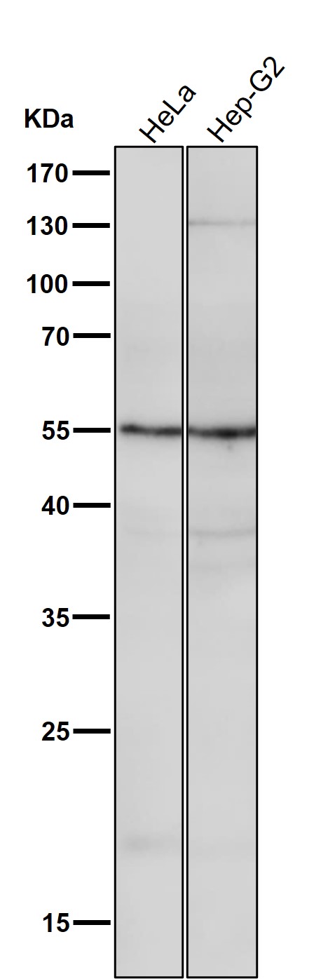 m00820 wb8