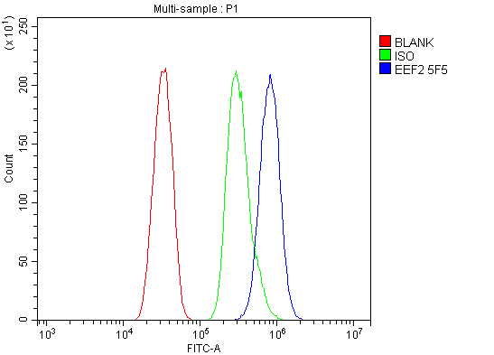 m00830 2 eef2 primary antibodies fcm testing 7_1