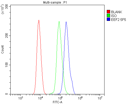 m00830 2 eef2 primary antibodies fcm testing 8_1