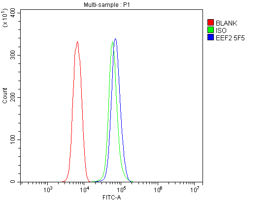 m00830 2 eef2 primary antibodies fcm testing 9_1