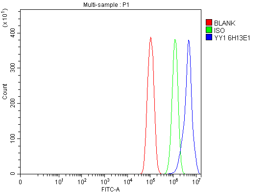 Flow Cytometry analysis of PC-3 cells using anti-YY1 antibody (M00833-1)