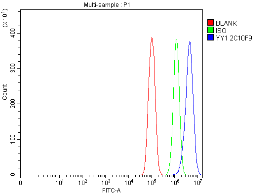 m00833 2 yy1 primary antibodies fcm testing 6