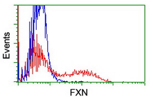 m00842 anti frataxin fxn mouse monoclonal antibody clone id oti1c12 flow cytometry testing 8