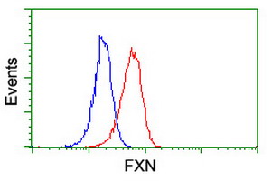 m00842 anti frataxin fxn mouse monoclonal antibody clone id oti1c12 flow cytometry testing 9