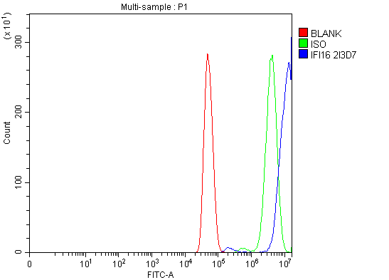  Flow Cytometry analysis of U251 cells using anti-IFI16 antibody (M00848)