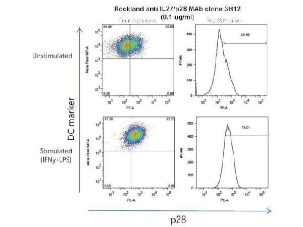 m00857 il27 primary antibodies fcm testing 1