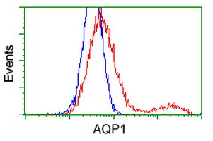 HEK293T cells transfected with either AQP1 (Myc-DDK-tagged) overexpress plasmid (Red) or empty vector control plasmid (Blue) were immunostained by anti-AQP1 antibody (M00865-1)