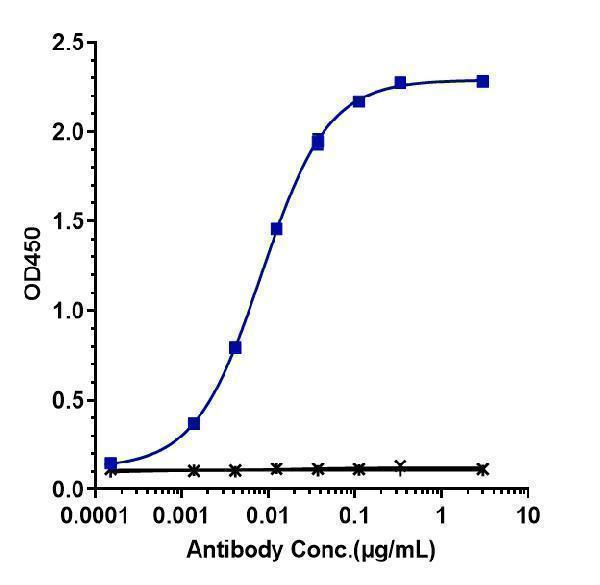 Immobilized N His HSA TNFSF9/4 1BB at 2 &mug/mL can bind Anti-TNFRSF9/4-1BB/CD137 Reference Antibody (urelumab)
