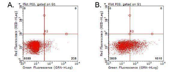 Flow cytometric analysis of living PBMCs treated with 10ug/ml PHA for 72h (Right)/untreated (Left) using anti-TNFRSF9 antibody (M00867) (1:100)