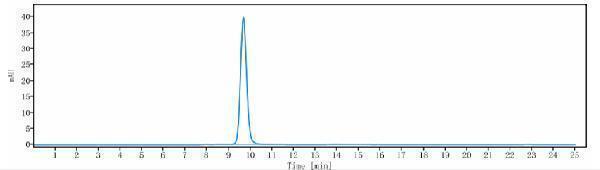 The purity of Anti-DLL4 Reference Antibody (demcizumab)is more than 95%
