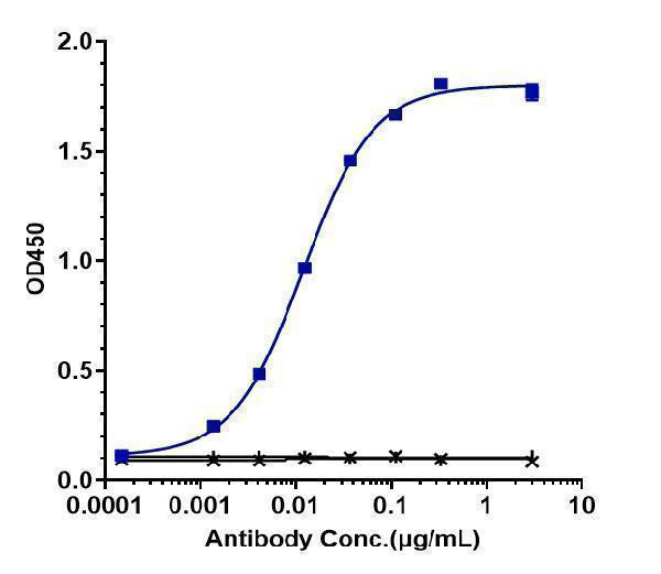 Immobilized human VEGF165 His at 2 &mug/mL can bind Anti-DLL4 Reference Antibody (navicixizumab)