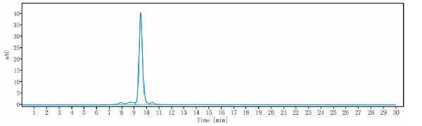 The purity of Anti-DLL4 Reference Antibody (navicixizumab)is more than 95%