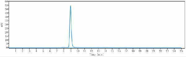 The purity of Anti-CX3CL1/Fractalkine Reference Antibody (quetmolimab)is more than 98