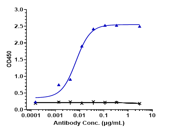 Immobilized human VGFR2 His at4 &mug/mL can bind Anti-VEGFR2/KDR/CD309 Reference Antibody (ramucirumab)