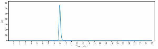 The purity of Anti-VEGFR2/KDR/CD309 Reference Antibody (Imclone 6