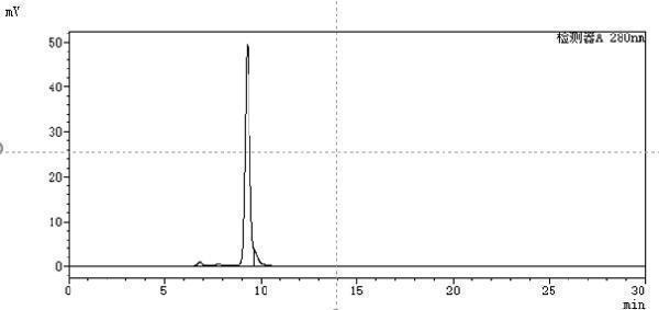 The purity of Anti-CSF2/GM-CSF Reference Antibody (namilumab)is more than 90