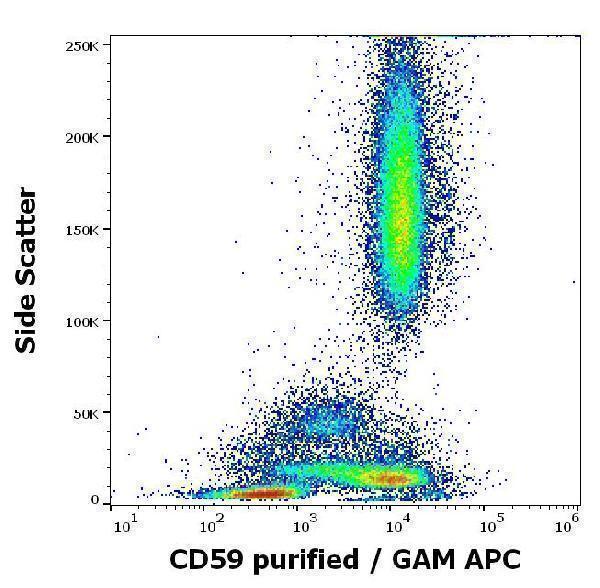 Flow cytometry surface staining pattern of human peripheral blood stained using anti-human CD59 (MEM-43/5) purified antibody (concentration in sample 0