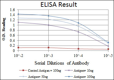 m00916 1 atf2 primary antibodyes elisa testing 3