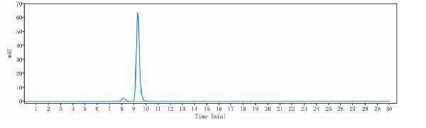 The purity of Anti-GDF8/Myostatin Reference Antibody (apitegromab)is more than 94