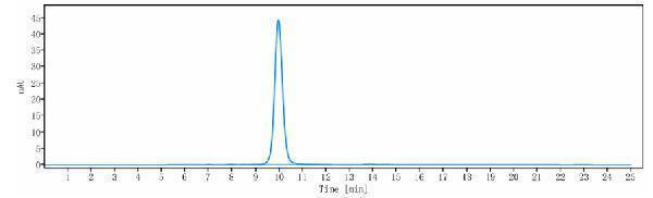 The purity of Anti-BST2/CD317 Reference Antibody (SBI Biotech patent anti-BST2)is more than 95%
