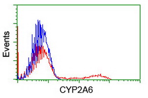 m00947 1 anti cytochrome p450 2a6 cyp2a6 mouse monoclonal antibody clone id oti2a8 flow cytometry testing 4