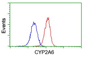 m00947 anti cytochrome p450 2a6 cyp2a6 mouse monoclonal antibody clone id oti1d2 flow cytometry testing 10