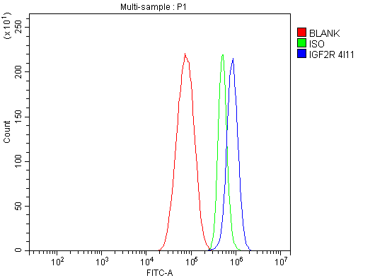 m00951 1 igf2r primary antibodies fcm testing 5