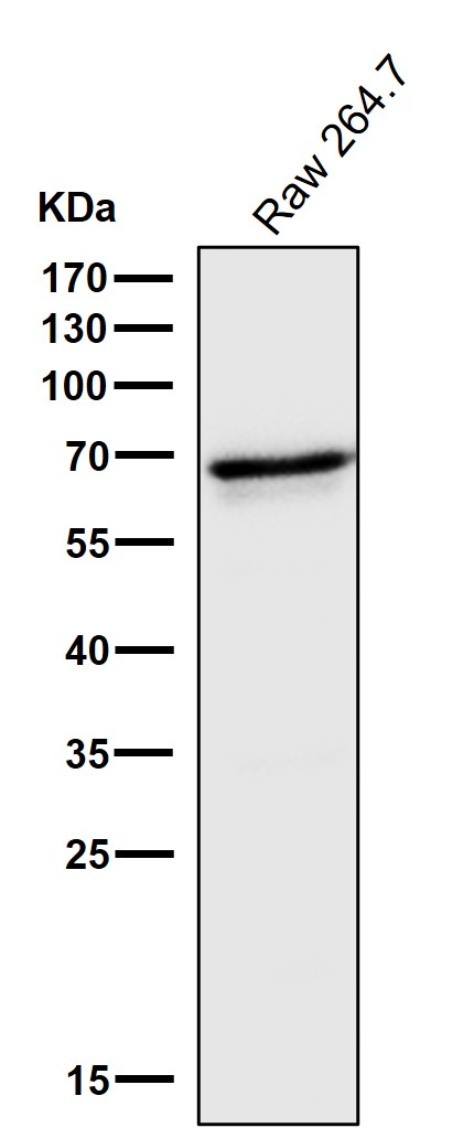 m00958 wb9