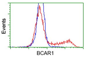m00960 1 anti bcar1 mouse monoclonal antibody clone id oti1a9 flow cytometry testing 6