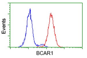m00960 1 anti bcar1 mouse monoclonal antibody clone id oti1a9 flow cytometry testing 7