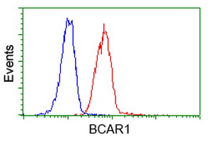 m00960 1 anti bcar1 mouse monoclonal antibody clone id oti1a9 flow cytometry testing 8
