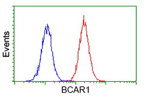 m00960 anti bcar1 mouse monoclonal antibody clone id oti1b1 flow cytometry testing 10