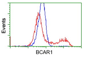 m00960 anti bcar1 mouse monoclonal antibody clone id oti1b1 flow cytometry testing 8
