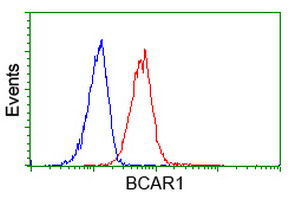 m00960 anti bcar1 mouse monoclonal antibody clone id oti1b1 flow cytometry testing 9