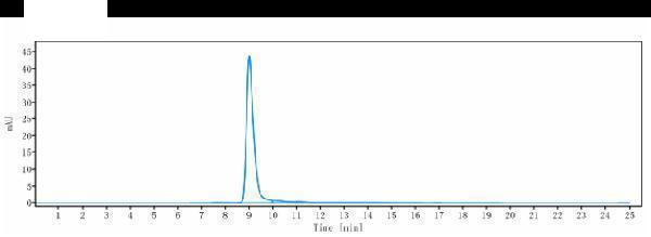 The purity of Anti-F11/Factor XI Reference Antibody (osocimab)is more than 95%