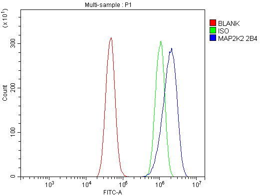m00996 2 map2k2 primary antibodies fcm testing 2