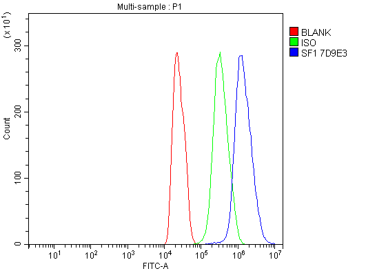 m01009 1 sf1 primary antibodies fcm testing 10