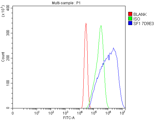 m01009 1 sf1 primary antibodies fcm testing 8