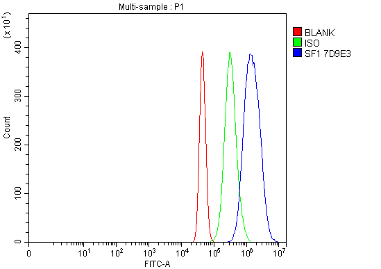 m01009 1 sf1 primary antibodies fcm testing 9