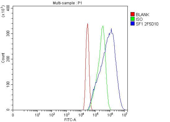 m01009 2 sf1 primary antibodies fcm testing 8