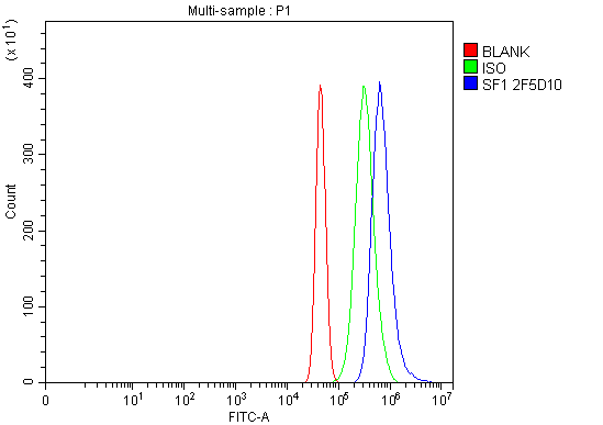 m01009 2 sf1 primary antibodies fcm testing 9