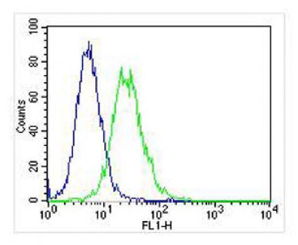 Overlay histogram showing Jurkat cells stained with M01012-2 (green line)