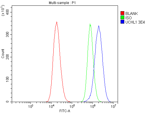 m01018 6 pgp9 5 primary antibodies fcm testing 4