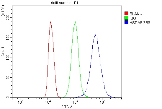 m01024 1 hsc70 primary antibodies fcm testing 11
