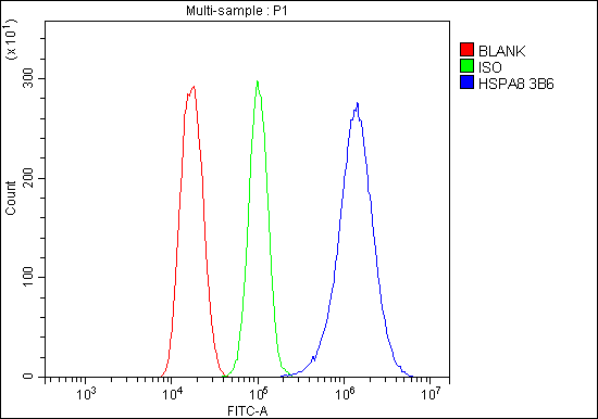 m01024 1 hsc70 primary antibodies fcm testing 12