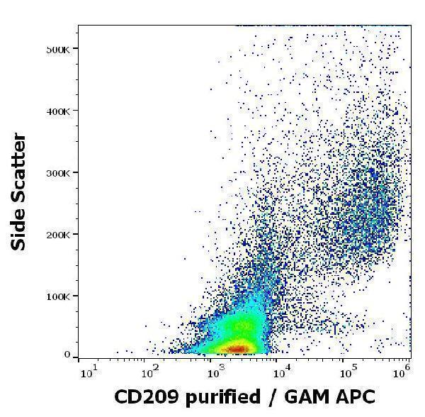 m01025 2 hu cd209 primary antibodies fc testing 2