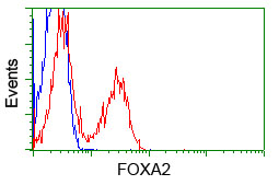 m01032 2 anti foxa2 mouse monoclonal antibody clone id oti3c10 flow cytometry testing 6