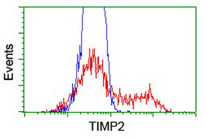 HEK293T cells transfected with either TIMP2 (Myc-DDK-tagged) overexpress plasmid (Red) or empty vector control plasmid (Blue) were immunostained by anti-TIMP2 antibody (M01037-2)